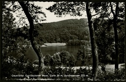 Gemündener Maar Bei Daun In Der Eifel  -  Ansichtskarte Ca.1965     (12600 ) - Daun