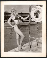6149 - Foto Hübsche Junge Frau - Pretty Young Women - Swimsuit Bikini  Jayne Mansfield Erotik - Fotografia