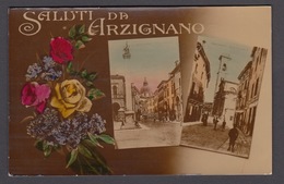 Italia  - Saluti Da ARZIGNANO -  Foto Cartolina - Vicenza