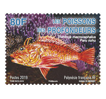 2019-11- FRENCH POLYNESIA  Stamps Face Value Price  FISHE II   1V      MNH** - Neufs