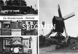 De Moedermeule - Gelrode - Aarschot