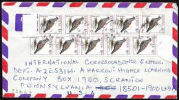 Kenya: Columba Guinea - Pigeons & Columbiformes