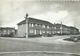 Godarville - La Cité - 1962 - Chapelle-lez-Herlaimont