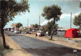 34-FRONTIGNAN-PLAGE-LE CAMPING - Frontignan