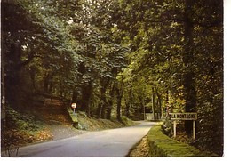 La Montagne Le Chemin Neuf - La Montagne