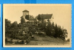 NY430, Schloss Wildenstein Bei Wildegg, 24426, Wehrli, Circulée 1916 - Wildegg