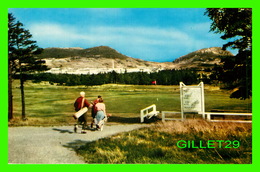 ST JOHN'S, NEWFOUNDLAND - SECTION OF BALY HALY GOLF COURSE - ANIMATED WITH PEOPLES -  H. S. CROCKER CO INC - - St. John's