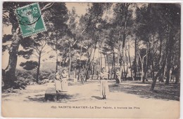 13 / MARSEILLE / SAINTE MARTHE / LA TOUR SAINTE A TRAVERS LES PINS / GUENDE 1855 - Nordbezirke, Le Merlan, Saint-Antoine