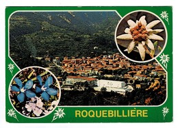 ROQUEBILLIERES  06  Vue Générale Avec Fleurs 1979 - Roquebilliere