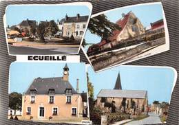 36-ECUEILLE-MULTIVUES - Other & Unclassified