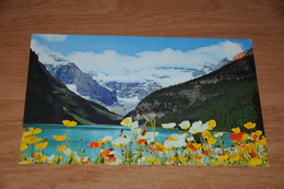 3204-              CANADA, ALBERTA, BANFF NATIONAL PARK, ICELAND POPPIES AT LAKE LOUISE - Banff