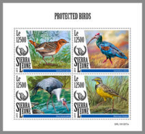 SIERRA LEONE 2019 MNH Protected Birds Geschützte Vögel Oiseaux Proteges M/S - OFFICIAL ISSUE - DH2008 - Otros