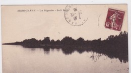 13 / MARIGNANE / LA SIGNOLE / JOLI BOIS - Marignane