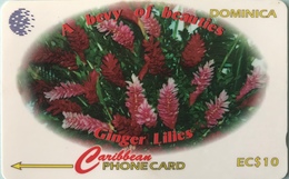 DOMINIQUE - Phonecard  - Cable § Wireless  - Ginger Lilies  -  EC $ 10 - Dominique