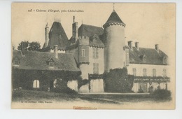 CHENERAILLES - Château D' ORGNAT - Chenerailles