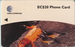 DOMINIQUE  -  Phonecard  -  Cable § Wireless  - Bananaquit  -  EC $ 20 - Dominique