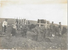 GUERRE 1914-18 MACEDOINE Photographie D'époque Prisonniers Bulgares à URBENI 1916 - Noord-Macedonië