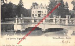 Château Musssain à Saintes - 1903 - Tubeke - Tubeke