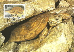 1993 - DAR ES SALAAM Tanzania - Pancake Tortoise - Tortue De Tornier - Tanzanie