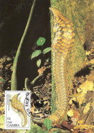 1993 - GAMBIA Banjul - Pangolin Long Tailed - Gambia