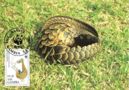 1993 - GAMBIA Banjul - Pangolin Long Tailed - Gambie