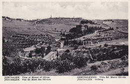 ISRAEL,JERUSALEM,MONT DES OLIVIERS - Israel