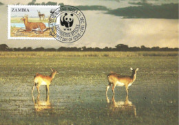 1987 - Zambia NDOLA - Black Lechwe - Antilope - Zambie