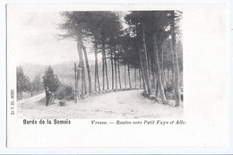 Vresse Bords De La Semois Routes Vers Petit-Fays Et Alle CPA D.V.D. 8082 Non Affranchie - Vresse-sur-Semois