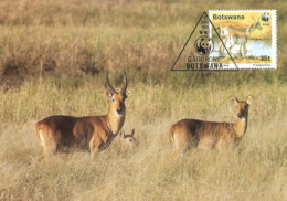 1988 - BOTSWANA GABORONE - Red Lechwe - Antilope Kobus Leche - Botsuana