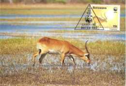 1988 - BOTSWANA GABORONE - Red Lechwe - Antilope Kobus Leche - Botswana