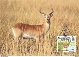 1988 - BOTSWANA GABORONE - Red Lechwe - Antilope Kobus Leche - Botsuana