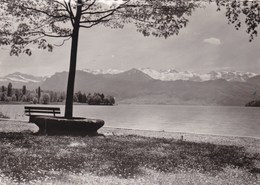 Blick Auf Luzern Auf Vierwaldstättersee Und Alpen (pk68800) - Wald