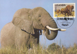 WWF, Uganda Kampala  1983, The African Elephant, Carte Maximum - Ouganda
