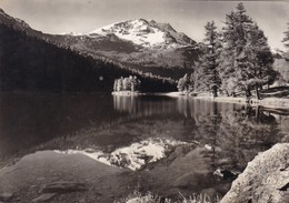 Champfer Silvaplana, Piz Corvatsch (pk68815) - Silvaplana