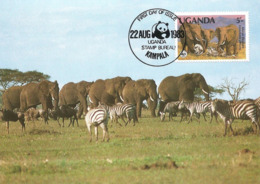 WWF, Uganda Kampala  1983, The African Elephant, Carte Maximum - Ouganda