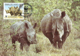 1987 - SWAZILAND - White Rhino - Rhinoceros Blanc - Swasiland