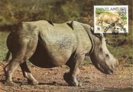 1987 - SWAZILAND - White Rhino - Rhinoceros Blanc - Swazilandia