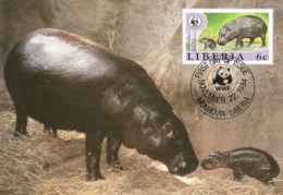 1984 - LIBERIA Monrovia - Pygmy Hippopotamus - Hippopotame Nain - Liberia