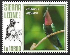 Sierra Leone - MNH 2019 - Purple-throated Carib - Eulampis Jugularis - Kolibries