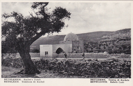 PALESTINE,AUTORITE PALESTINENNE,PRES ISRAEL,BETHLEHEM,BETHLEEM,BET LEHEM,BAYT LAHM,CISJORDANIE - Palästina