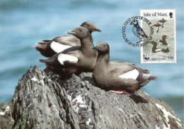 WWF Maxi Cards 1989 Isle Of Man Sea Birds First Day  Douglas - Black Guillemot - Isle Of Man