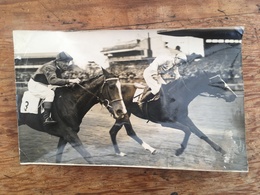 South Africa - Kempton Park - Press Photo - Equitazione