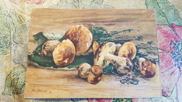 Yakovlev "Mushrooms" - OLD PC 1956  - Mushroom - Champignon - Pilze