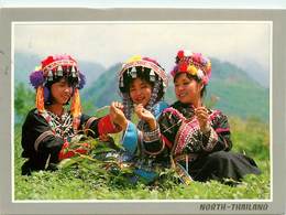 CPSM NORTH THAILAND - The Girls Of Several Mountain Folk Are Gathering The Herb's Flower, Northern Thailand   L2979 - Thaïlande