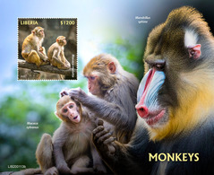 Liberia. 2020 Monkeys. (0113b) OFFICIAL ISSUE - Monkeys