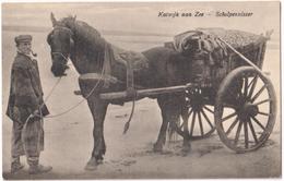 Katwijk Aan Zee - Schelpenvisser - & Horse Carriage - Katwijk (aan Zee)