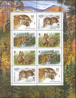 Russia 1993 M/S Siberian Tigers Animals Panthera Fauna Mammals Nature W.W.F. Forest Protection WWF Stamps MNH Mi 343-346 - Colecciones & Series