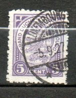 LUXEMBOURG 5c Violet 1924 N° 150 - 1921-27 Charlotte Voorzijde