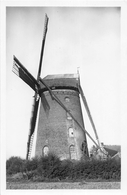 ¤¤  -   STEENVOORDE    -   Le Moulin De Pierres        -  ¤¤ - Steenvoorde