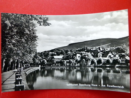 Ilsenburg - Forellenteich - Harz - DDR 1965 - Sachsen-Anhalt - Echtfoto - Kleinformat - Ilsenburg